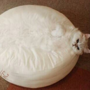 抱团开黑然后BB=我不菜