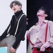 鸽鸽要当大明星