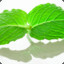 炸弹人_MINT