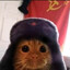 Avatar of player советский кот