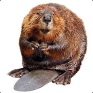 A_Large_Beaver