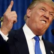 TU VEUX UN OCTOGONE ?!𐂃