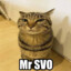 Mr SVO