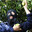 MangoTheft