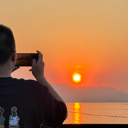 比钛还帅的鸟蛋