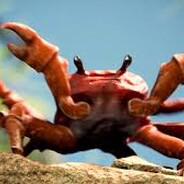 CrapZ