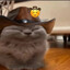 sy