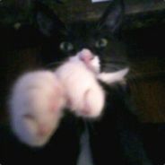 MasterShake - steam id 76561197964373649