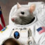 Jesus of NASA Rat