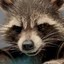 Rocket Raccoon