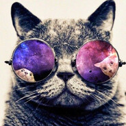 13крутой кот37