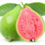 Guava