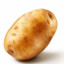 Sea_potato879