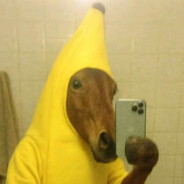 GSCHISSN666 avatar