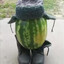 army watermelon
