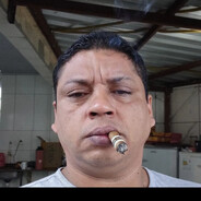 Galo Cinza