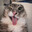 𝓑𝓲𝓫𝓪