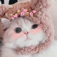 муужгай харах уу