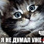 na rolikah &lt;3