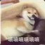 角落里的咩咩