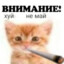 Ирина Техностиль