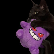 Doc