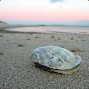 BigTimeOyster - steam id 76561197960422900