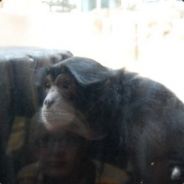 Jeff - steam id 76561197960426228