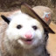 Wizard Opossum