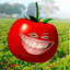 The Smile Tomato