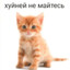 скуфердяй