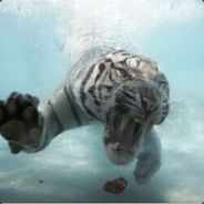 KrazyKrycek - steam id 76561197961384638