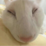 喜欢上课吃鸭脖