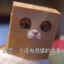 美团骑手-doge