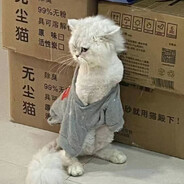 宝宝肚肚打雷雷