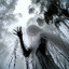 disturbed psyche