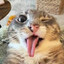 xBShel avatar