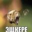 борщик