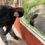 принцесса брамби