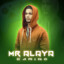 Mr ALaYa GaMing