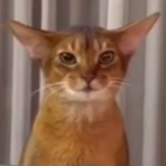 ИГРАЮ НА ПОБЕДУ!