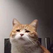 应到一人实到一人