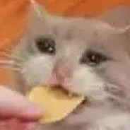 去他吗的乌龙茶