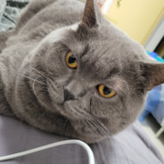 少妇怎能守得住B