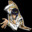 Arix_