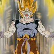I AM THE SUPER SAIYAN SON GOKU