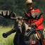 Canadian War Moose