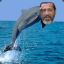 Dolphin Dave