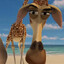 Melman
