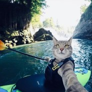 你别改我名字啊